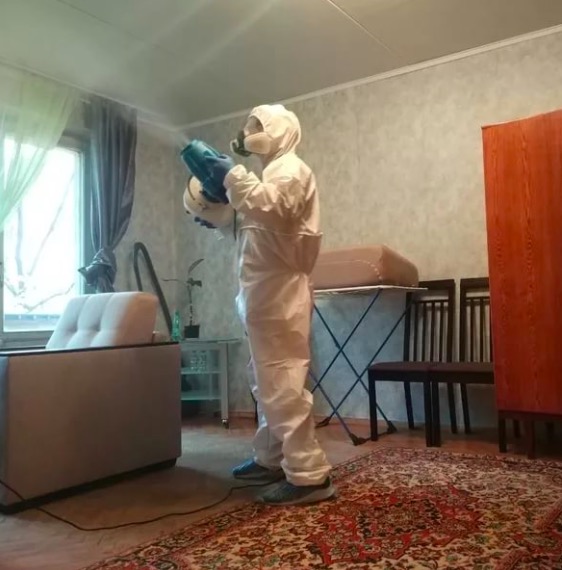 дезинсекция квартиры в Гусь-Хрустальном